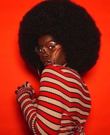 Natural Hairstyles - Afros 3