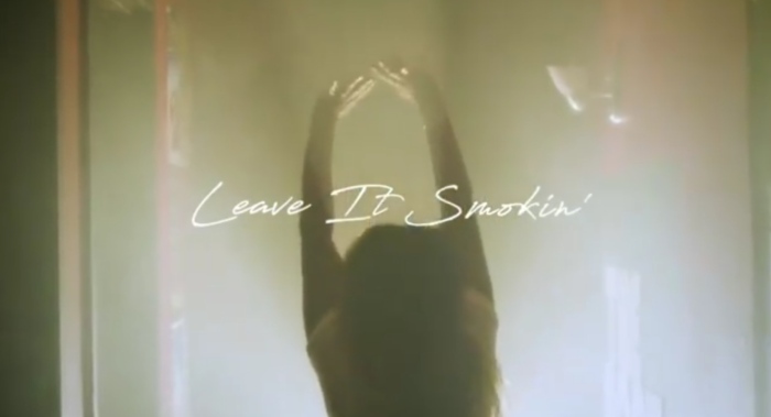Tamia Leave It Smokin' Music Video