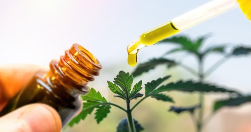 Buy Your CBD Product