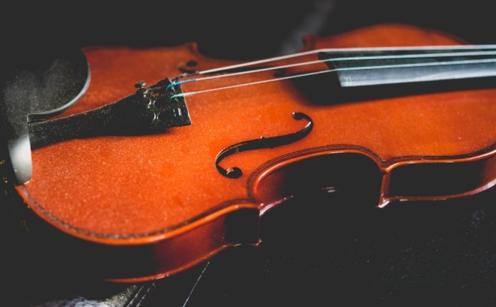 Violin - String Instruments