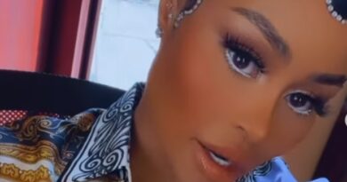 Blac Chyna under investigation for battery