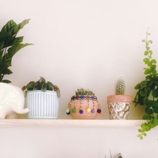 Easy-Care Plants for 2025: Low-Maintenance Favorites For Indoors