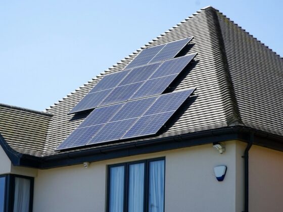 Eco-Friendly Home Upgrades