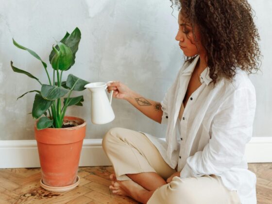 Indoor Hobbies To Try Out