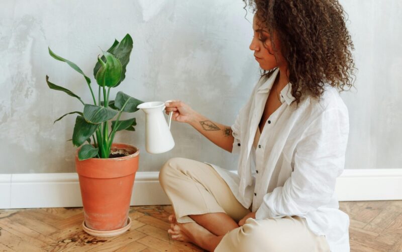 Indoor Hobbies To Try Out