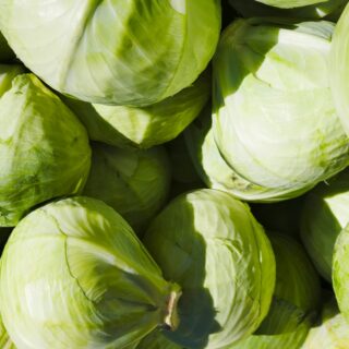 TikTok-Inspired Leftover Cabbage Recipes Tricks