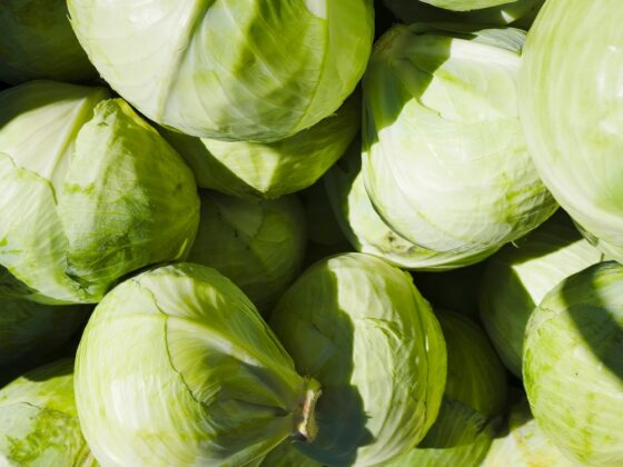 TikTok-Inspired Leftover Cabbage Recipes Tricks