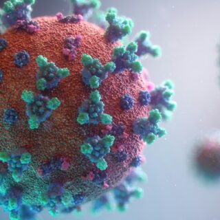 Single Cell Dispensers