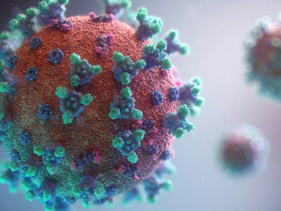 Single Cell Dispensers