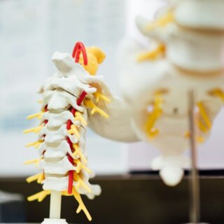 spinal health