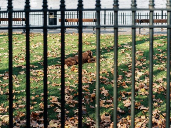 top aluminum fence companies san diego