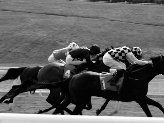 Beverly D. Stakes